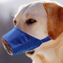 Anti-bite Anti-miseating Dog Mouth Cover Waterproof  Bark Stopper