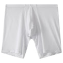 Men's Mesh Underwear Transparent Lengthened Sport Boxer