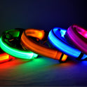 Nylon LED Pet Dog Luminous Collar Night Safety Flashing Glow in Dark Dog Cat Leash Adjustable Pet Supplies