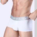 Men's Underwear Boxers Modal Breathable Boxer