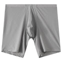 Men's Mesh Underwear Transparent Lengthened Sport Boxer