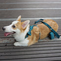 New Product Original Pet Outing Chest Back Cover