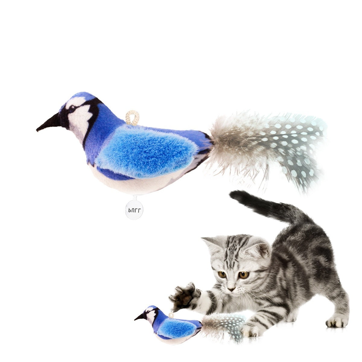 New Called Bird Simulation Cat Toy