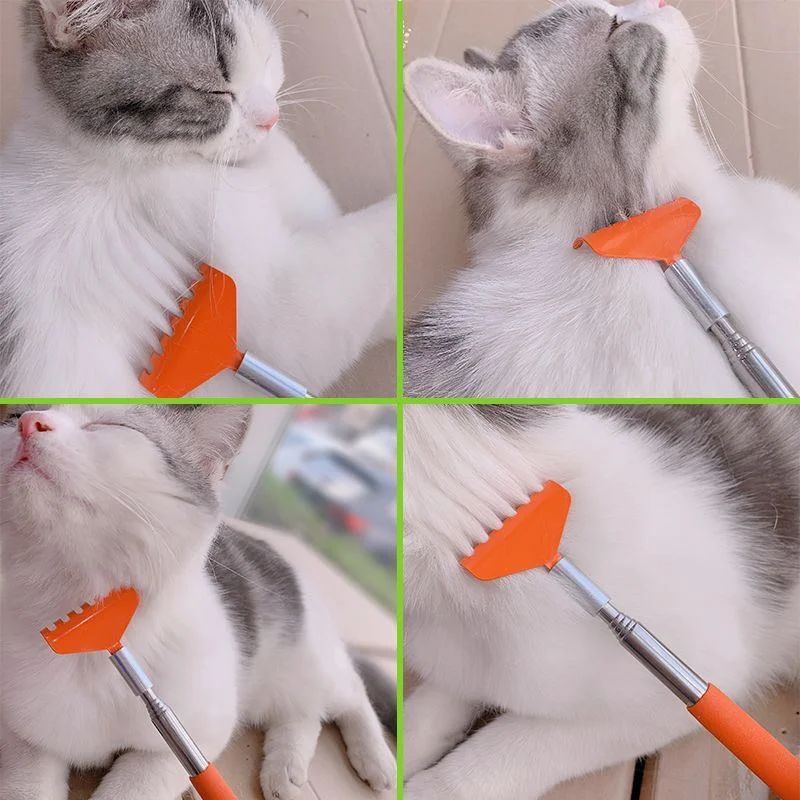 Cat Interactive Scratching Toy Massage Brush Pet Products Cat Scratching