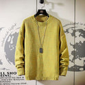 Men's Crew Neck Sweater Korean Style Trend Autumn