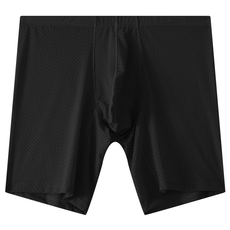 Men's Mesh Underwear Transparent Lengthened Sport Boxer