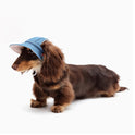 Pet All-match Cowboy Hat Sun Protection Sunshade