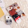 Cartoon Animal Candy Bar Female Socks Animal