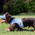 Pet All-match Cowboy Hat Sun Protection Sunshade