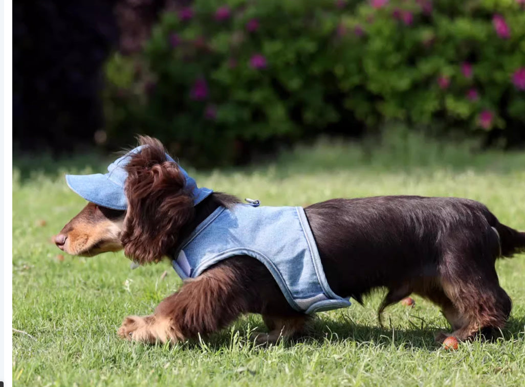 Pet All-match Cowboy Hat Sun Protection Sunshade