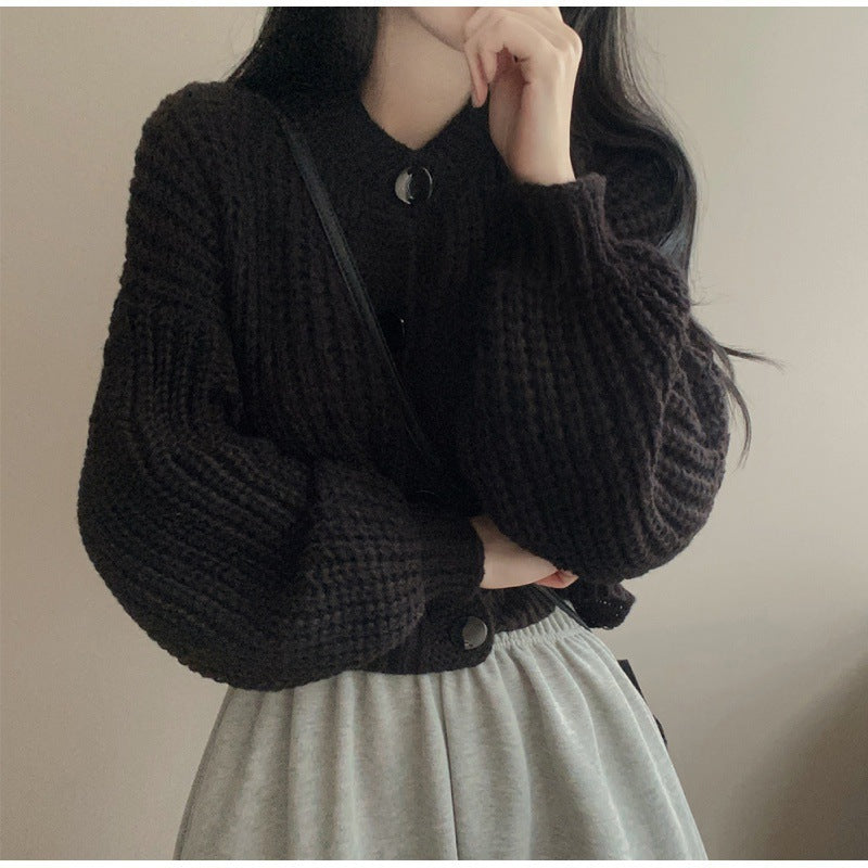 Women's Fashion Knitwear Sweater Short Coat