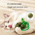 Creative New Catnip Toys, Peppermint Grape Skewers, Cat Sticks, Teething And Bite Resistant Gall Fruit Cat Toys