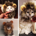 Funny Pet Hat For Small Dogs Cats Hat Emulation Lion Hair Mane Ears Head Cap Scarf Pet Halloween Festival Costume