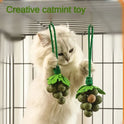 Creative New Catnip Toys, Peppermint Grape Skewers, Cat Sticks, Teething And Bite Resistant Gall Fruit Cat Toys