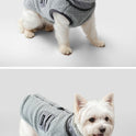 Puppy Dog Autumn And Winter Warm Vest