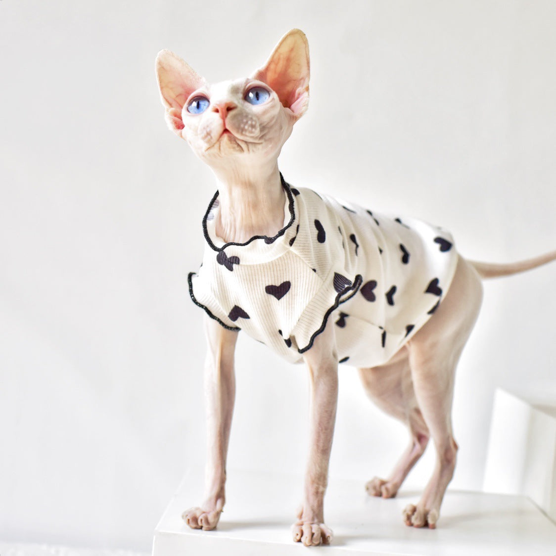 Summer Thin Sleeveless Vest Cat Clothing