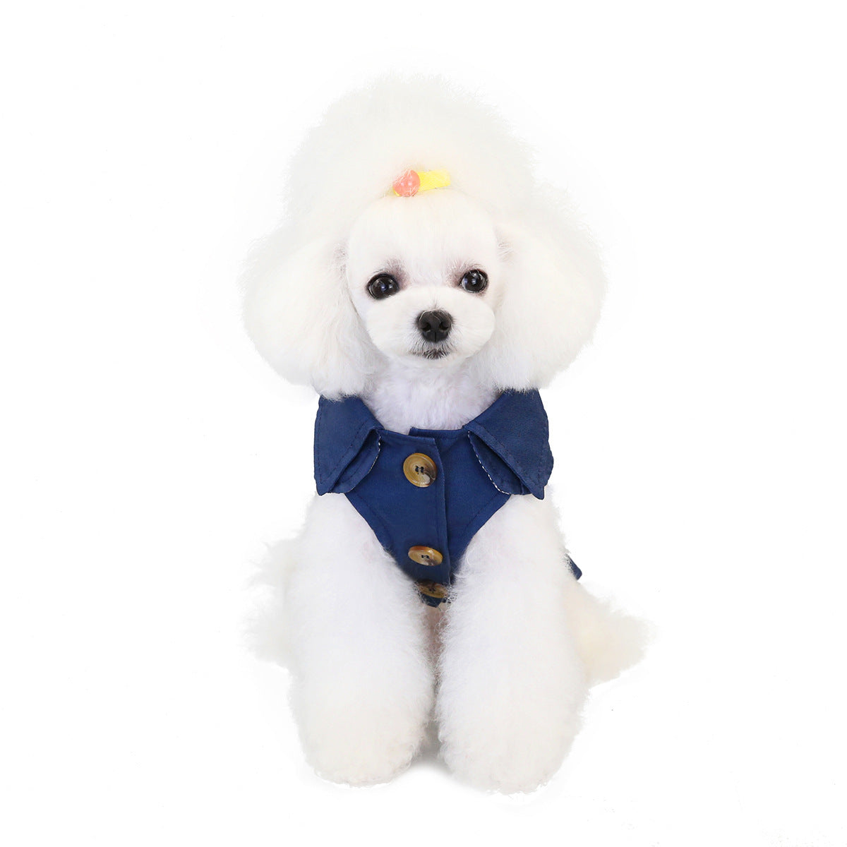 Three-color Windbreaker, Fashionable And Trendy Dog Clothes, Suitable For Autumn And Winter, For Small Dogs Such As Teddy And Bear