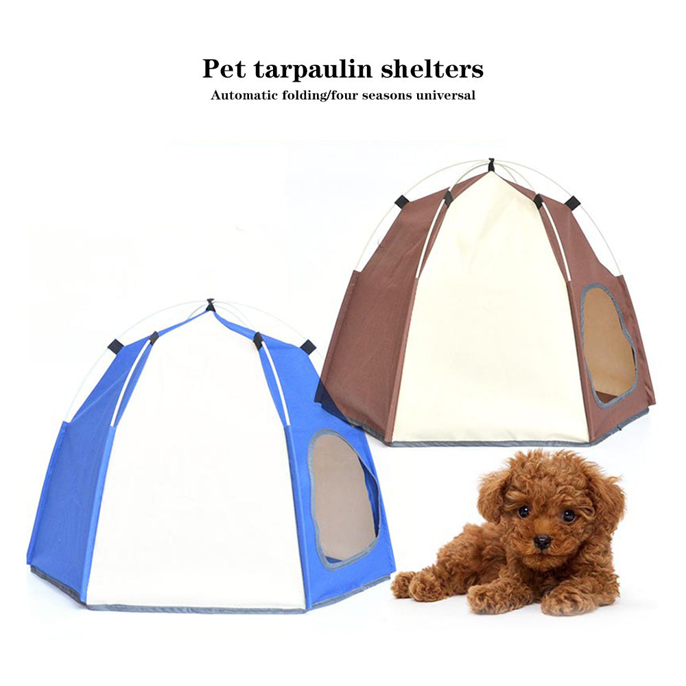 Fashion hexagon pet tent