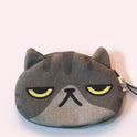 The cat is coming. The comet man purse. The cat storage bag.