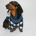 Pet Puppy Cat Clothes Blue Coffee Rhombus Sweater