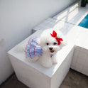 Fashion Summer Thin Pet Princess Dress