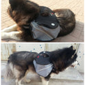 Dogs go out from backpack