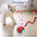 Cat Toys Interactive With Motion Activated And Chirping Rolling Super Fast On Carpet Happy Party Game With Kittens - Red