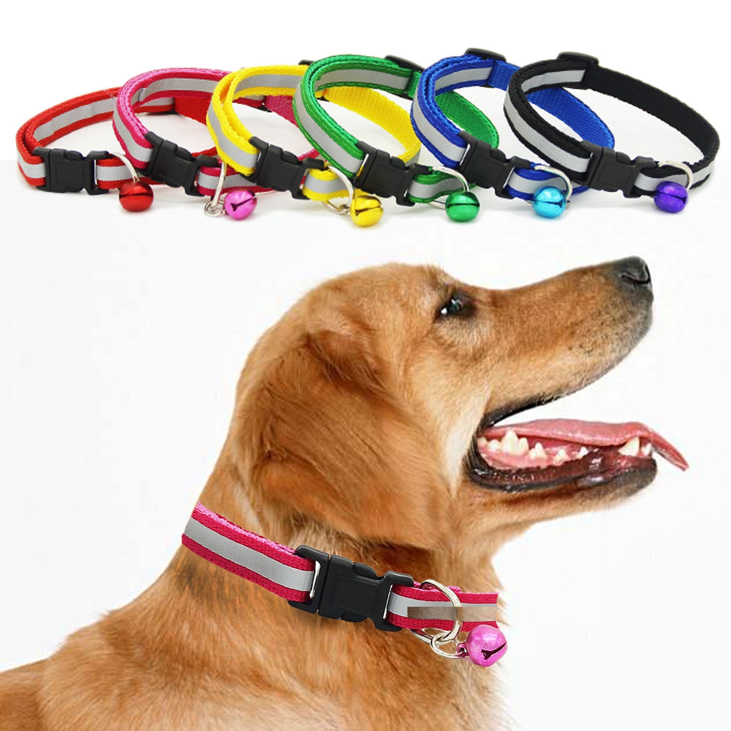 Fluorescent dog collar