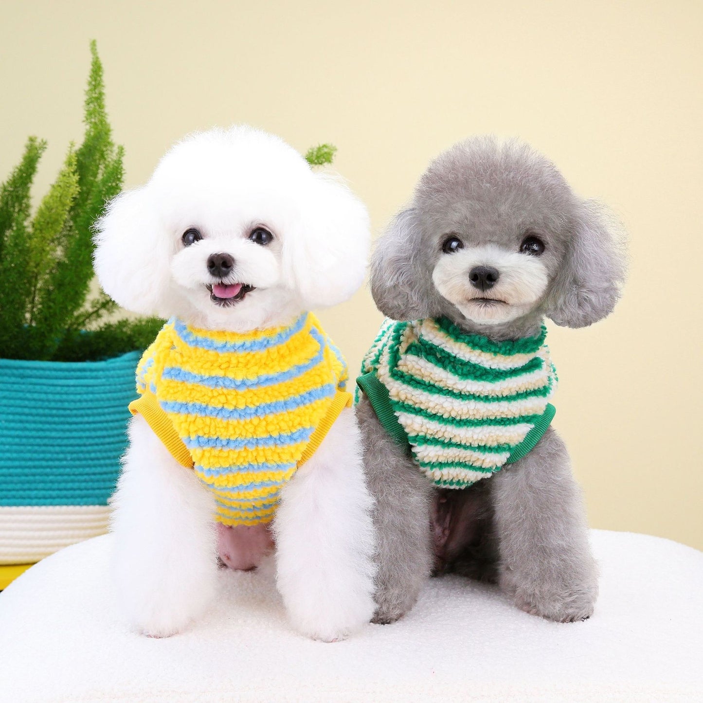 Thickened Striped Bear Pet Top