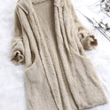 Casual Solid Color Long-sleeved Hooded Plush Jacket