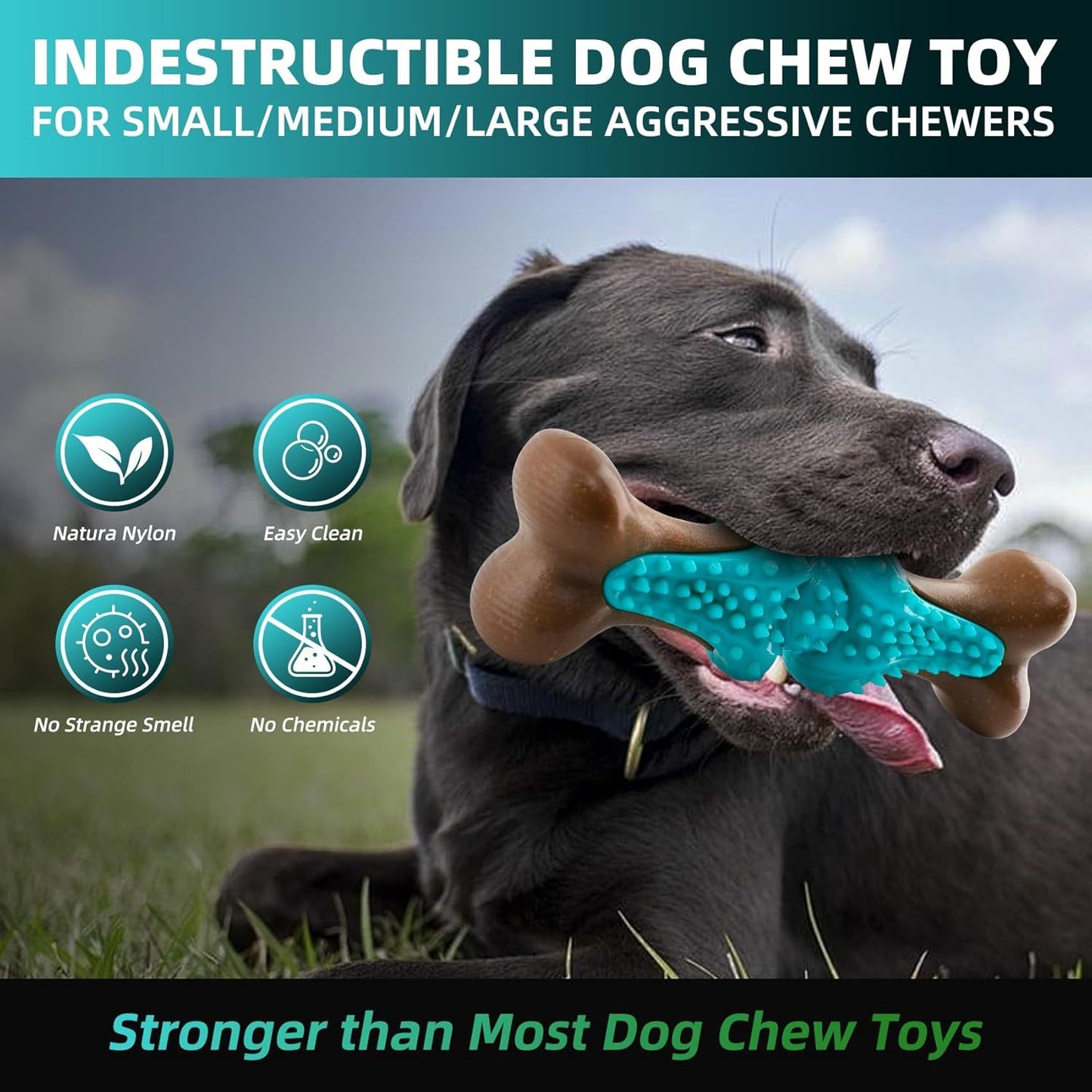 Dog Chew Toy For Large Dogs, Rubber Bone Dog Toys For Aggressive Chewers Large Breed, Teething Chew Toys Medium Dogs, Interactive Dental Health Aid, Supports Healthy Chewing Behavior