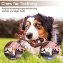 Dog Molar Nibbling Nylon Beef Flavor Toy