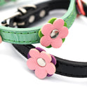 Small Dog And Cat Collars Cross Border Pets