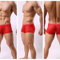 Striped Transparent Boxers For Men