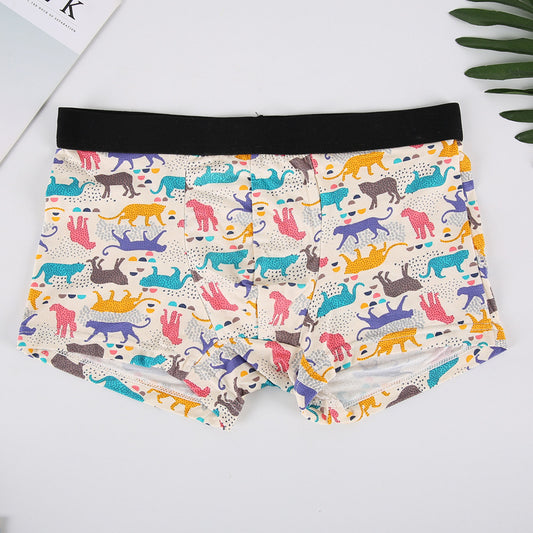 Size Panties Boxer Shorts Boys Trend