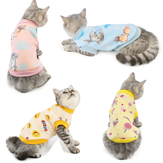 Cat Clothes Autumn And Winter Clothing