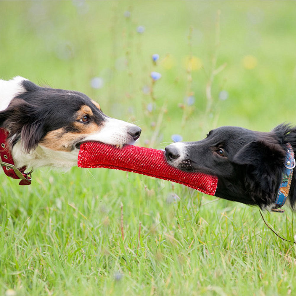 Durable Dog Bite Stick Creative Dog Tug Chew Stick For Teeth Cleaning, Ideal For Medium Breeds Stick For Interactive