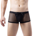 Men's Fashion Boxer Mesh Breathable Underpants