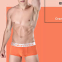 Men's Underwear Boxers Modal Breathable Boxer