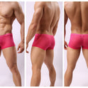 Striped Transparent Boxers For Men