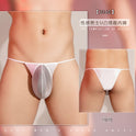 Men's Simple Ultra-thin Three-point See-through Low Waist Panties