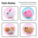 Hamster Rolling Ball Toy Universal