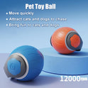 Speedy Tail Cat Toy,Interactive Cat Toy For Indoor Cats,Cat Ball Toy,Interactive Cat Toy Ball,Two Speed Adjustment,USB Rechargeable