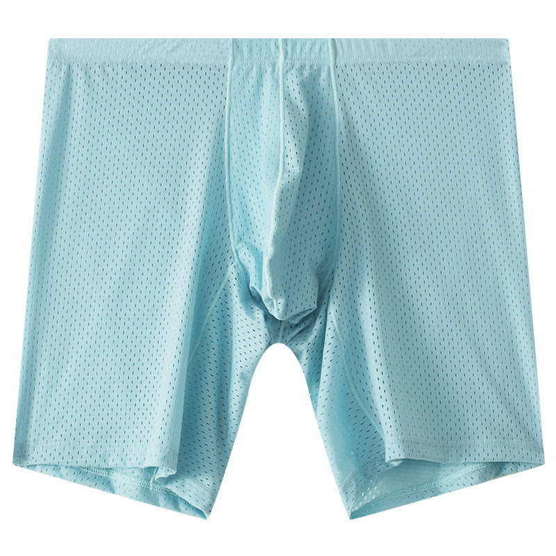 Men's Mesh Underwear Transparent Lengthened Sport Boxer