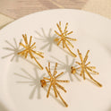 Fireworks Korean Style Niche Designer Stud Earrings