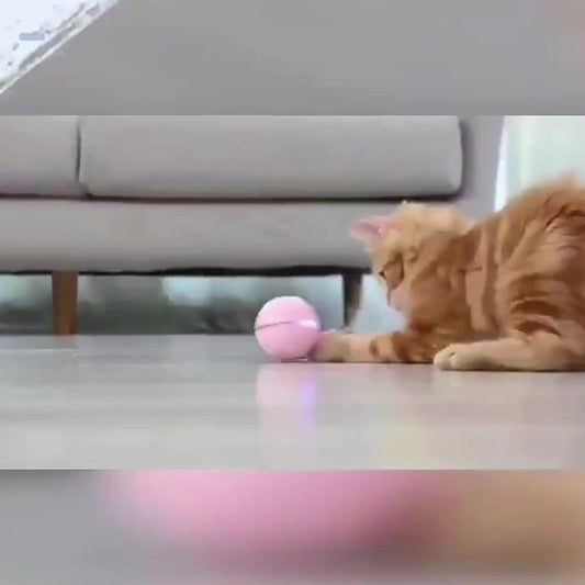 Electric Cat Toy Toy Ball LED Feather Tease Cat Ball Cat Self Hi Tease Cat Stick USB Rechargeable Tease Cat Supplies