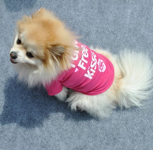 Puppy Clothes Spring And Summer Breathable Short-sleeved T-shirt