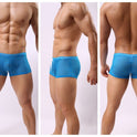 Striped Transparent Boxers For Men