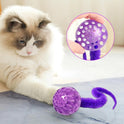 Interactive Cat Ball Toy Interactive Worm Bouncy Balls Cat Toy Safe Indoor Cats Toy Balls For Indoor Cats Kitten