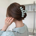 Women's Large Simplicity Grip Frosted Hair Clip